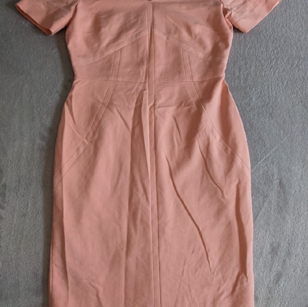 Antonio Melani Sheath Dress